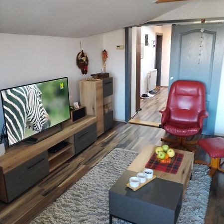 Apartment Viktor Belgrade Luaran gambar