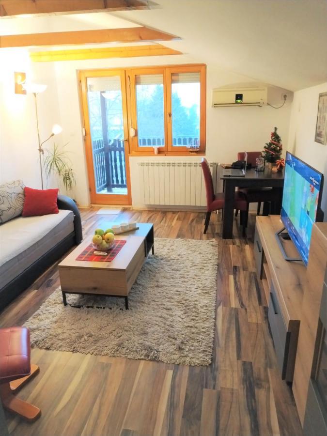 Apartment Viktor Belgrade Luaran gambar