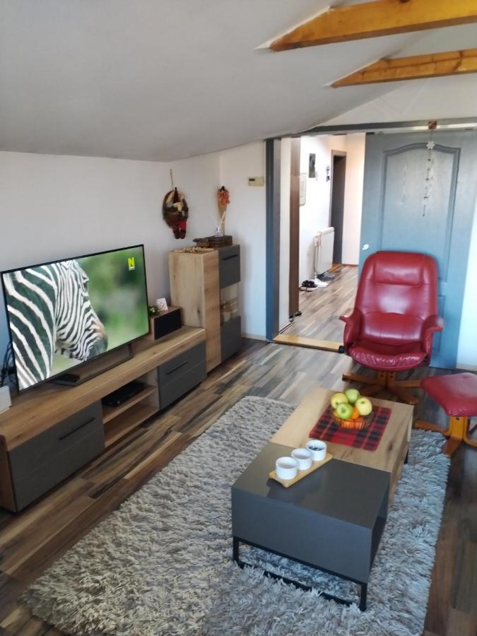 Apartment Viktor Belgrade Luaran gambar