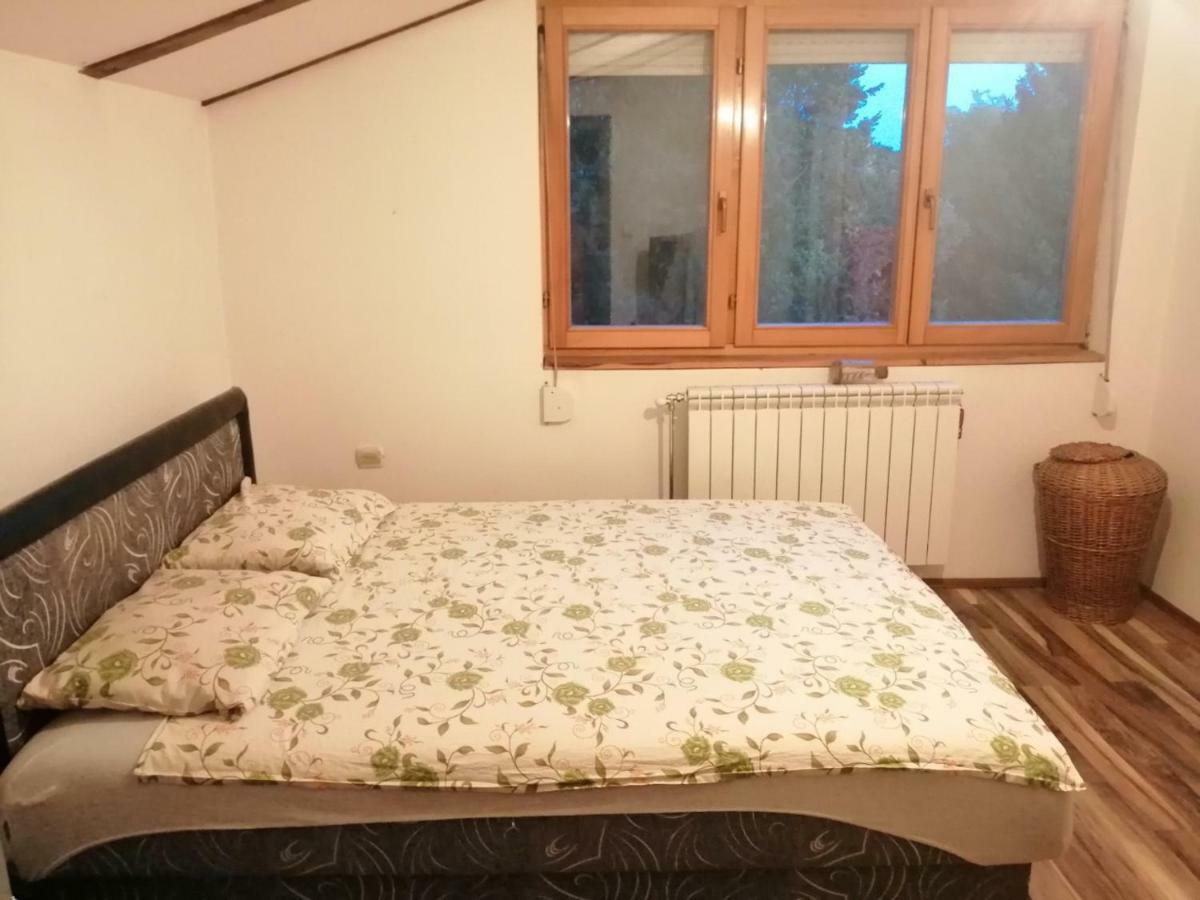 Apartment Viktor Belgrade Luaran gambar